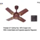 Polystar PV-24BC 24-Inch Ceiling Fan