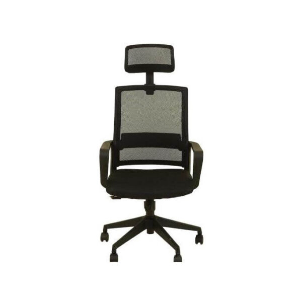 Lifemate BP816 Executive