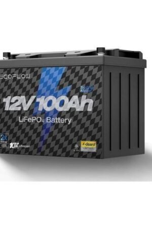 EcoFlow 12V 100Ah LiFePO4 Battery with Built-In 100A BMS in Nigeria